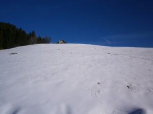 P2210528  