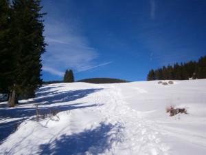 P2210540  