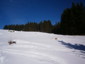 P2210541  