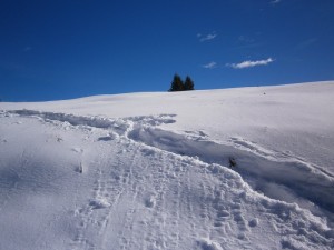 P2210546  