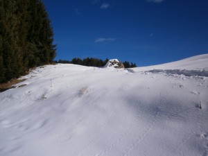 P2210547  