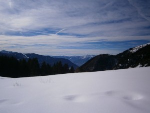 P2210561  