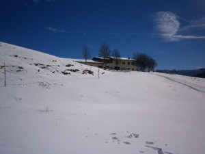 P2210562  