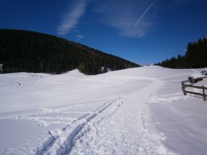 P2210596       
