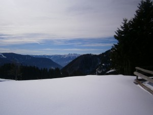 P2210599       