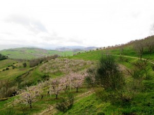 IMG_3711