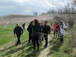 IMG_3714