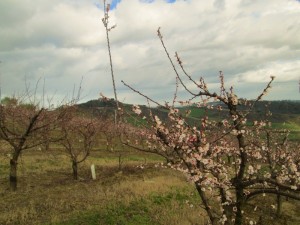 IMG_3719