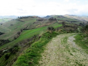IMG_3728 