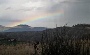 IMG_3733 