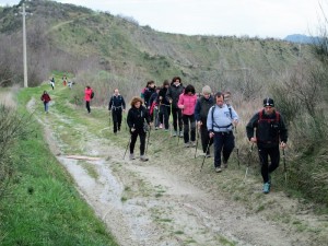 IMG_3734 