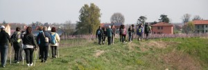 04 IMG_0019