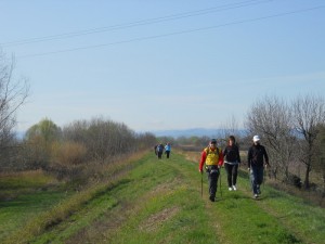 09 DSCN1017