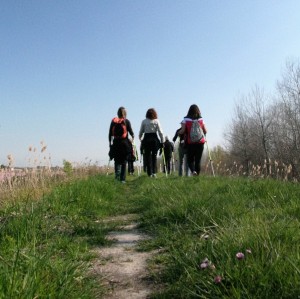 13 IMG_0026