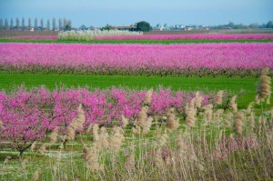 13bis IMG_0028