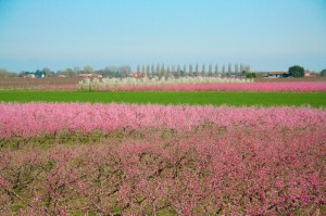 18 IMG_0029