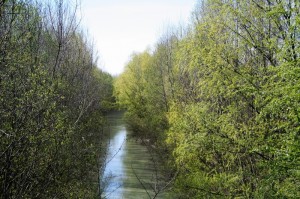 32bis IMG_0043