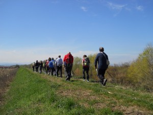 40 DSCN1047 