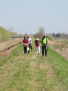 50IMG_0056 