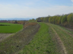 51 DSCN1055 