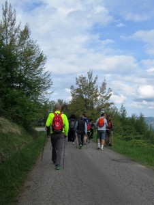 IMG 3797   