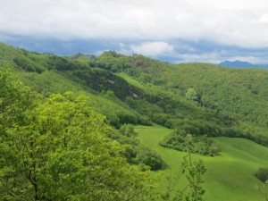 IMG 3805   