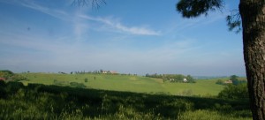IMG 0216   