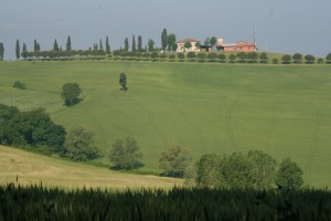 IMG 0217   