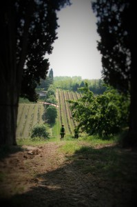 IMG 0232 