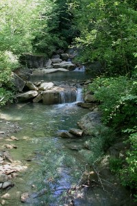 IMG 0214 