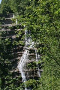 IMG 0236 