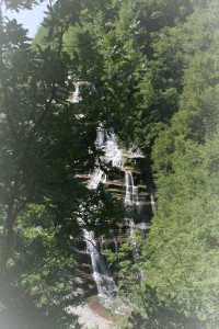 IMG 0237