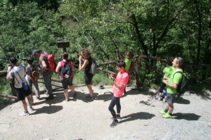 IMG 0238