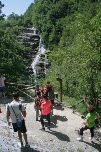 IMG 0239