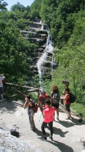 IMG 0240