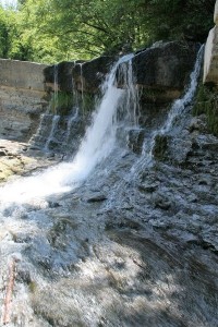 IMG 0259