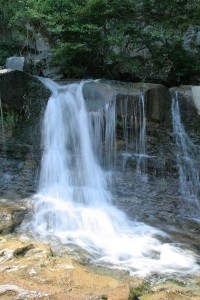 IMG 0260