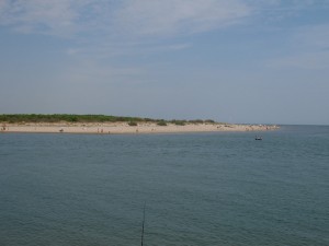 Camminata isola di Albarella 13-09-2016 012
