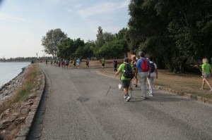IMG 0408