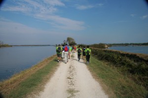 IMG 0410