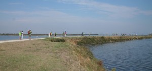 IMG 0415