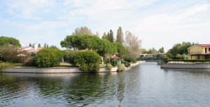IMG 0417