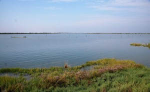 IMG 0421