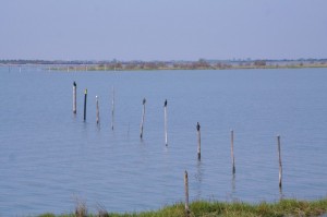 IMG 0422