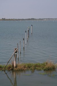 IMG 0423