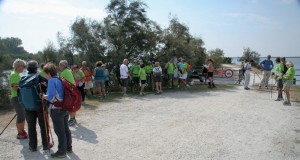 IMG 0429