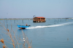 IMG 0430