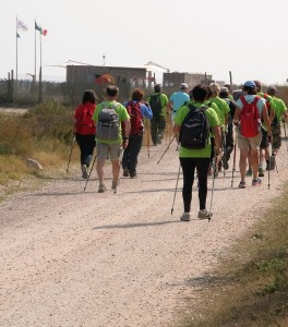 IMG 0434