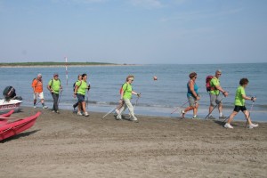 IMG 0438