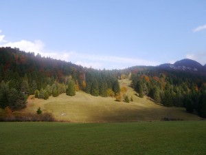 P1020593